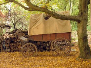 covered wagon, pioneer, cigar history, cigars, cigar, origin of cigar, linguistic origin of cigar, linguistic, linguistic history, wagon, pioneers, pioneer, pioneer wagon, the oregon trail