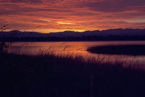 idaho state, river, grass, us state, state, 